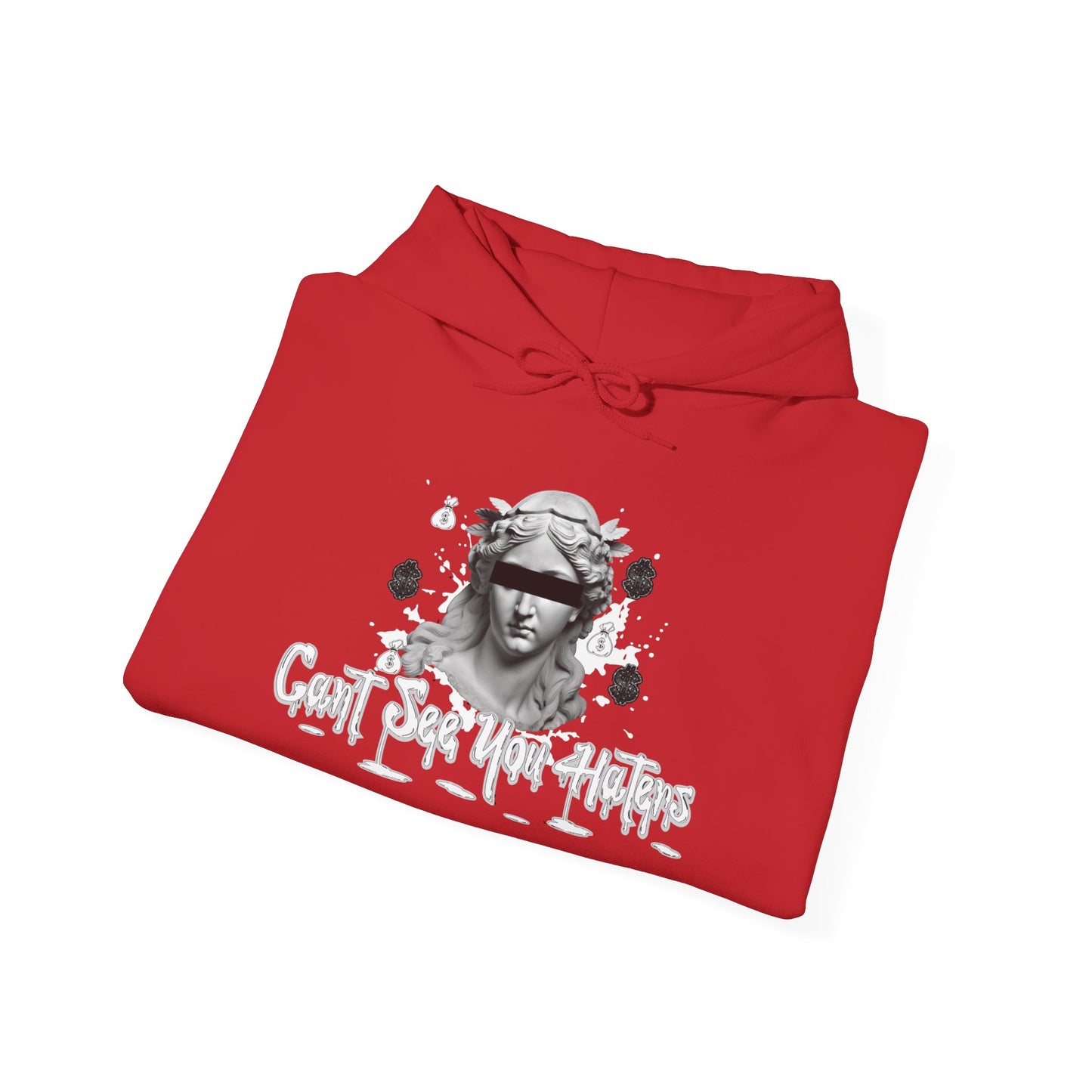 Can't See Haters Unisex Heavy Blend™ Hooded Sweatshirt